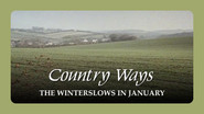 The Winterslows in January