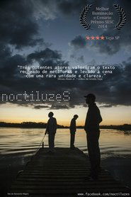 Poster Noctiluzes