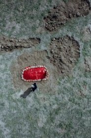 The grave under the plum tree (2021)