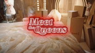 Episode 47