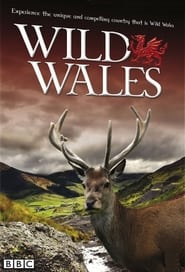 Wild Wales