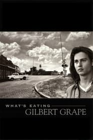 What’s Eating Gilbert Grape 1993