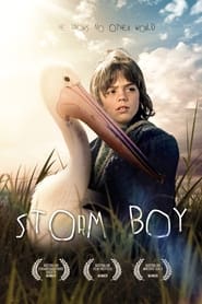 Storm Boy постер