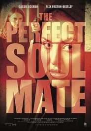 The Perfect Soulmate 2017 映画 吹き替え