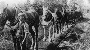 Episode 3: Walking Kent’s Lost Railways