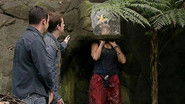 Live Bushtucker Trial