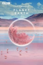 Планета Земля 2 постер