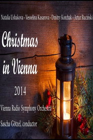 Christmas in Vienna 2014