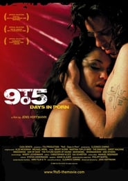 9 to 5: Days in Porn poster