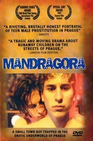 Poster del film Mandragora