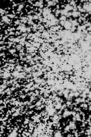 Poster Carbon Dust 2021