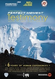 Poster Perfect Moment - Testimony 2008