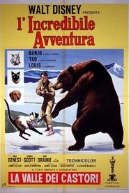 watch L'incredibile avventura now