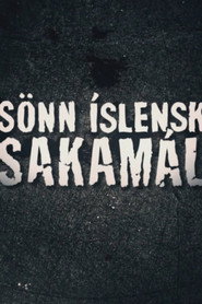 S&ouml;nn &Iacute;slensk sakam&aacute;l (1999)