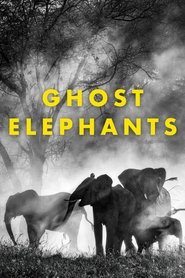 Ghost Elephants (2025)
