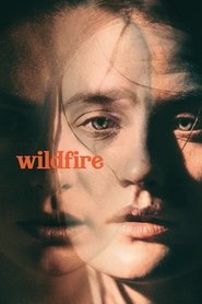 Wildfire 2021 Бесплатан неограничен приступ