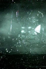 Poster Bullet Bird 2007
