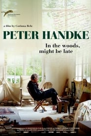 Peter Handke: In the Woods, Might Be Late постер