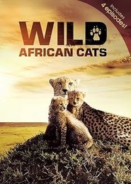 Poster Wild African Cats 1993