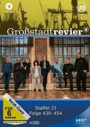 Großstadtrevier 第 33 季 海报