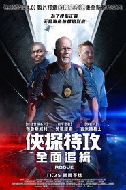 警探奈特：侠盗