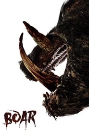 Poster Boar