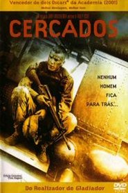 Falcão Negro em Perigo