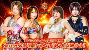 Sareee-ISM Chaper XI ~Shinjuku FACE Countdown Series~
