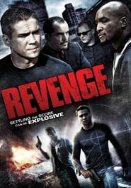 Revenge постер