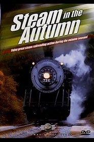 Poster Steam in the Autumn 2008