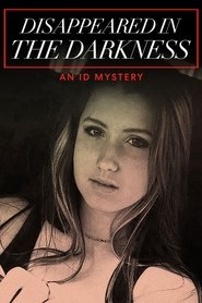 Poster Disappeared in the Darkness: An ID Mystery 2020