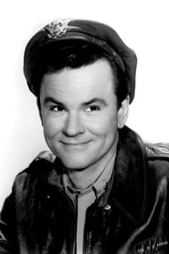 Bob Crane as Bob Wilcox