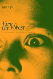 Fire and the Forest