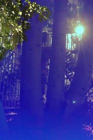 Ruminative Meditations (2017)