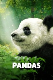 Pandas poster