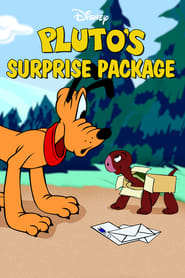 Poster for Pluto's Surprise Package