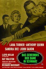 Poster Das Geheimnis der Dame in Schwarz