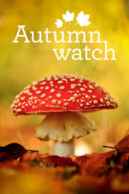 Autumnwatch постер