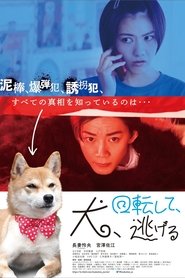 Dog Turns and Runs Away (2023)