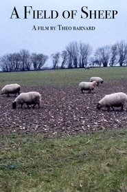 Poster A Field of Sheep 2024