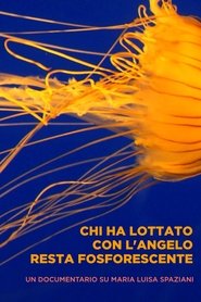 Poster Chi ha lottato con l'angelo resta fosforescente 2013