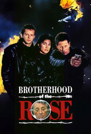 Geheimbund der Rose постер