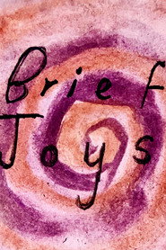 Brief Joys poster
