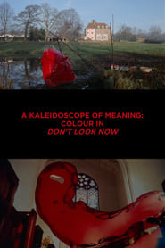 Poster for A Kaleidoscope of Meaning: Colour in Don't Look Now