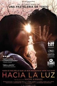 Hacia la Luz poster