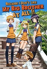 お兄ちゃんのことなんかぜんぜん好きじゃないんだからねっ!!