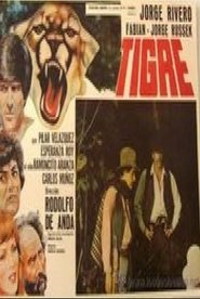 Poster Tigre 1979