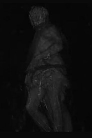 autobiographical scenes number 4428