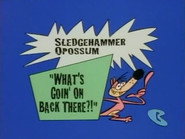Sledgehammer O'Possum: What's Goin' on Back There!?