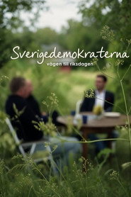 Sverigedemokraterna - vägen till riksdagen